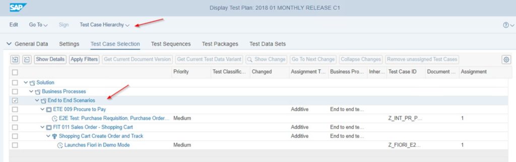SAP SolMan Test Suite - Interface